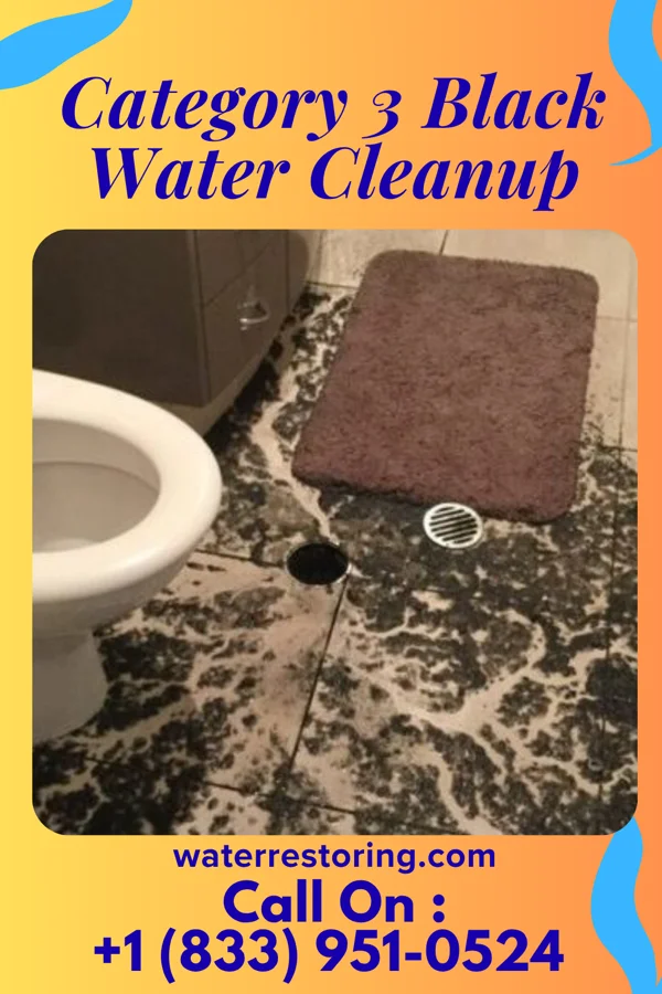 Category 3 Black Water Cleanup in Butte, NE