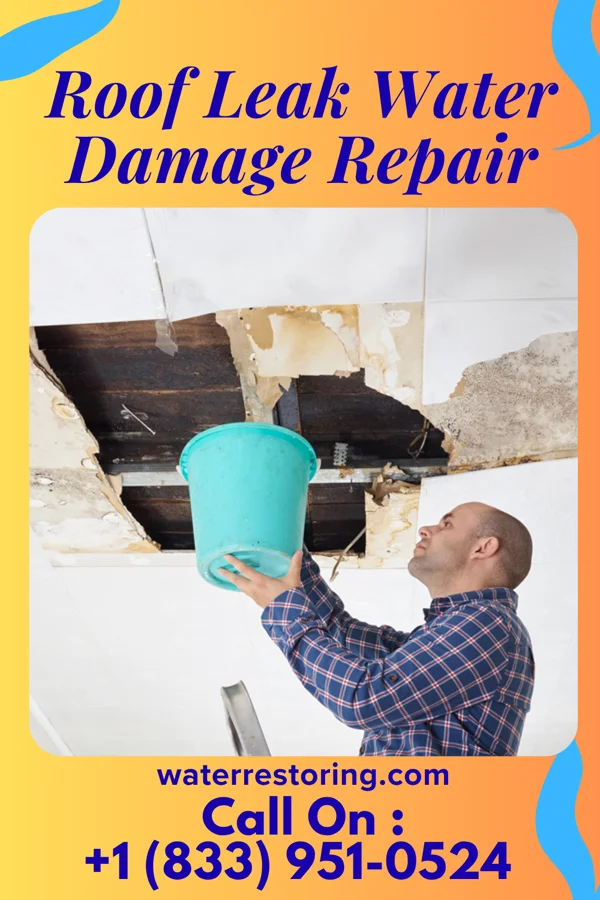 Roof Leak Water Damage Repair in Butte, NE